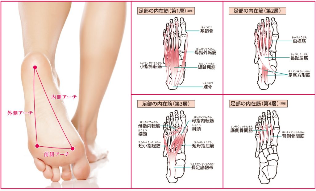 足についての知識と商品の特徴 三調株式会社